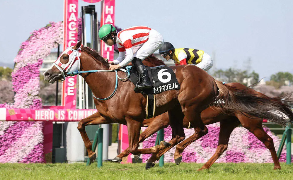 ＜大阪－ハンブルクC＞ゴール前で差し切り勝利するディアマンミノル　（撮影・亀井　直樹）