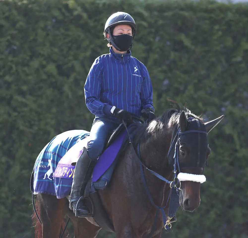 厩舎周りで運動するジャスティンロック
