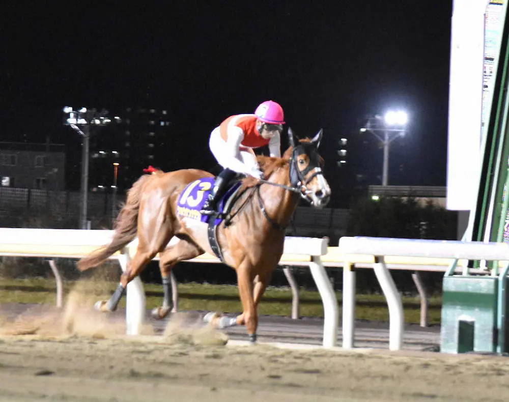 前走に続く重賞制覇を飾ったショウナンナデシコ