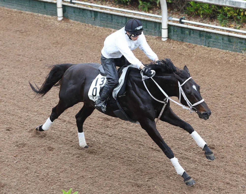 坂路を単走で追い切るディープボンド