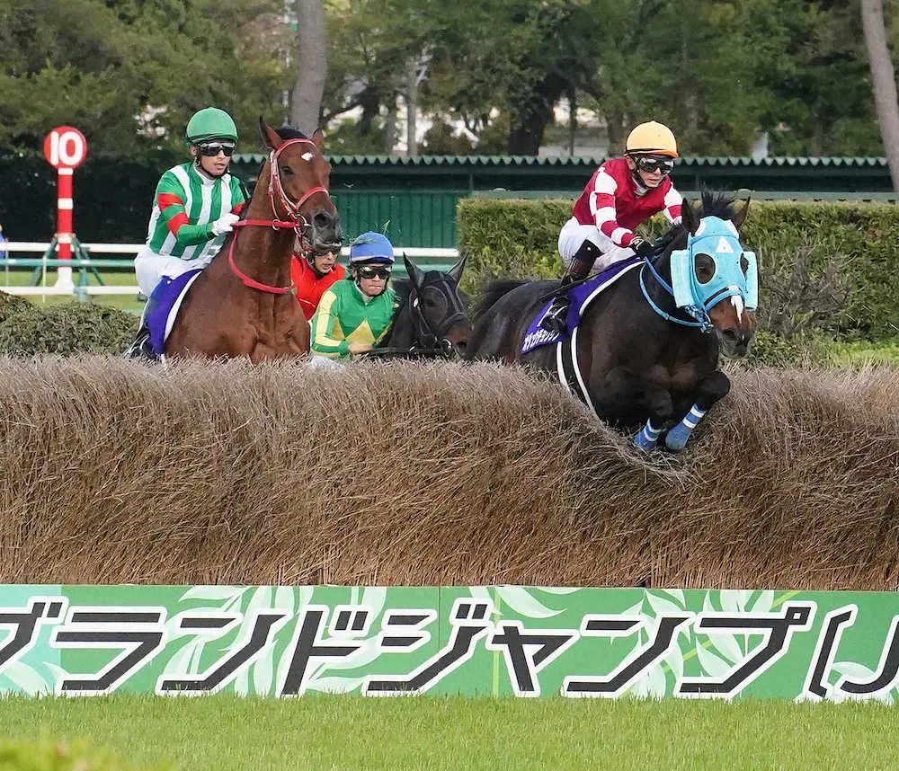 中山グランドジャンプの大竹柵障害を飛越するオジュウチョウサン（右）（撮影・郡司修）
