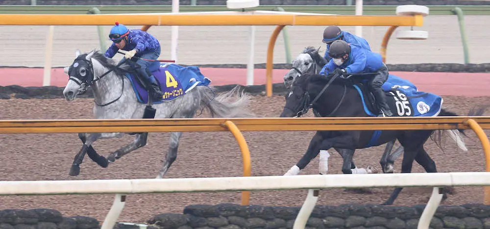 CWコースにて3頭併せで追い切るシルヴァーソニック（左）（撮影・亀井直樹）
