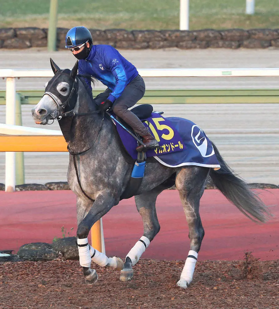 フレッシュな4歳馬マカオンドール激走の予感