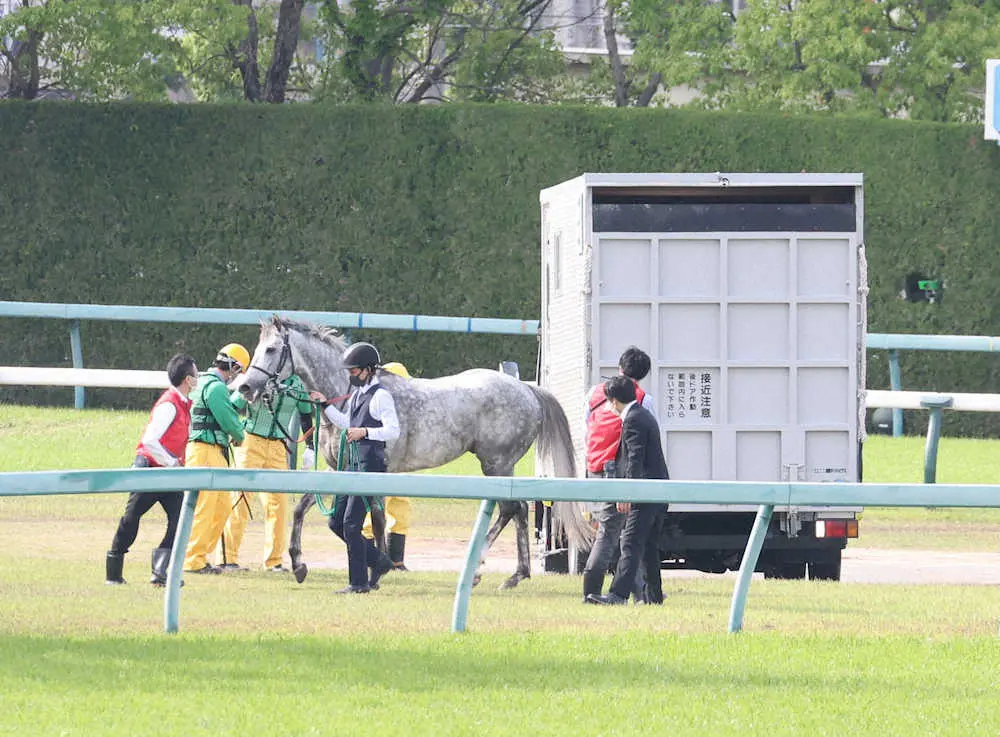 ＜天皇賞春＞落馬後、馬運車に乗るシルヴァーソニック（撮影・亀井　直樹）