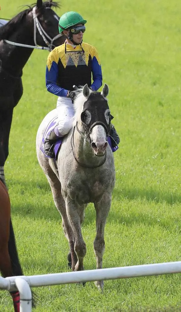 ＜天皇賞・春＞15着のハヤヤッコと武豊騎手