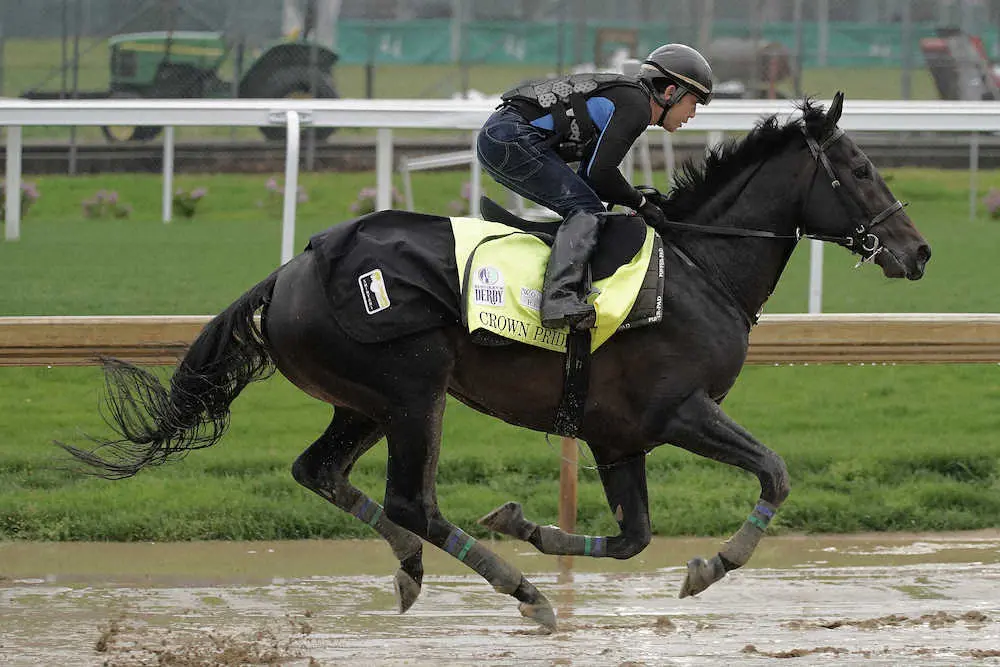 チャーチルダウンズ競馬場で調教するクラウンプライド（AP）