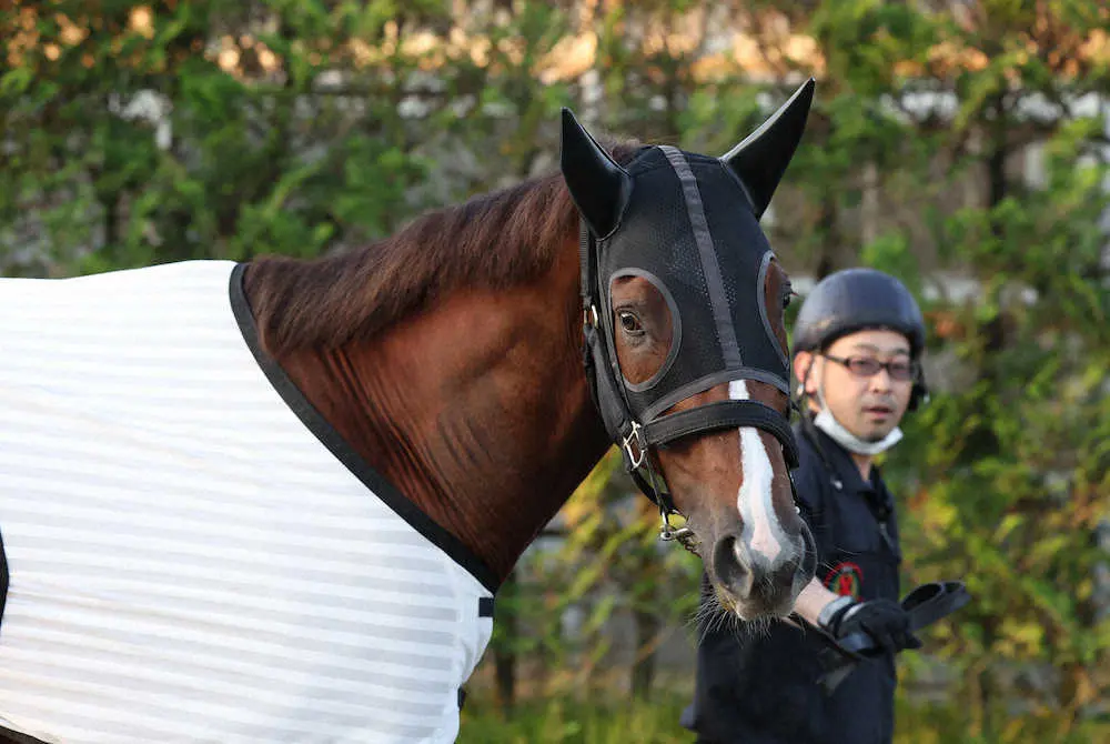 セリフォス
