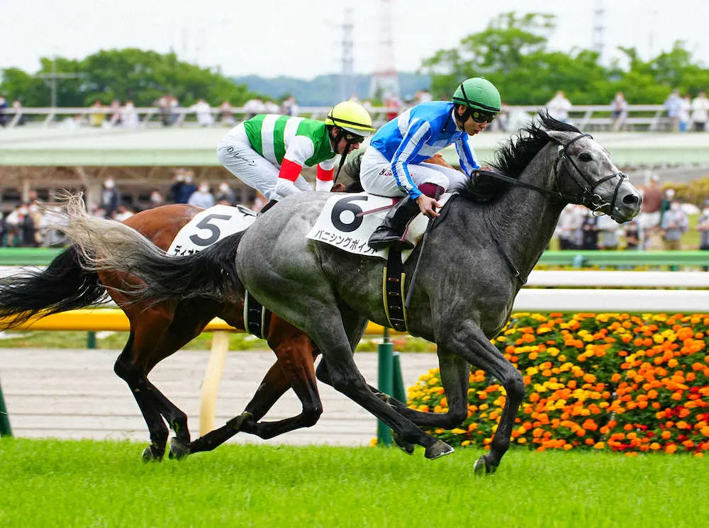 ＜東京競馬7R蛯名正厩舎初勝利＞レースを制したバニシングポイント。蛯名正厩舎初勝利となった（撮影・郡司　修）