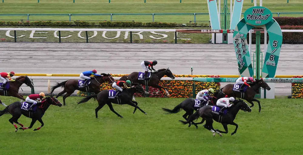 ＜NHKマイルカップ＞一番左の13番が7着のジャングロ（撮影・郡司　修）