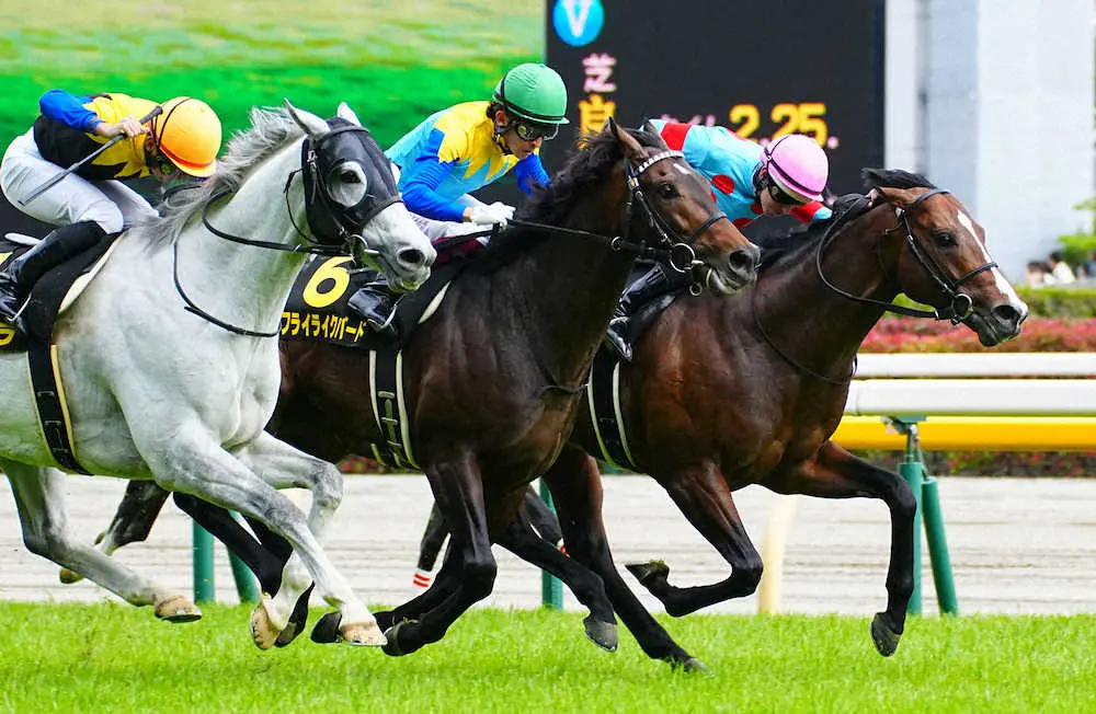 ＜東京競馬10Rメトロポリタンステークス＞レースを制したヴァイスメテオール（右端）＝撮影・郡司　修