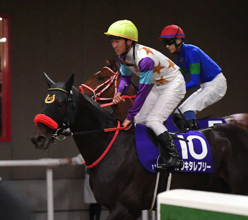 ＜東京11R・NHKマイルC＞3着でレースを終えた菅原明騎乗のカワキタレブリー