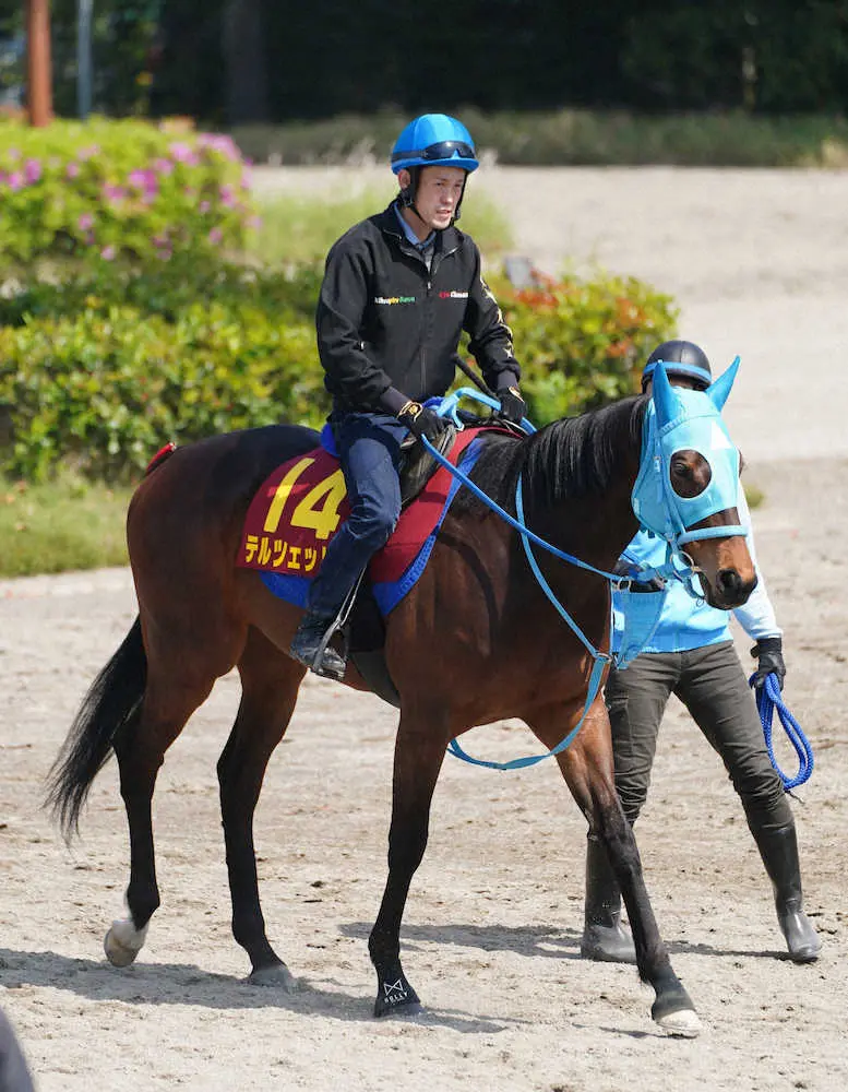 前走5着から反撃を狙うテルツェット