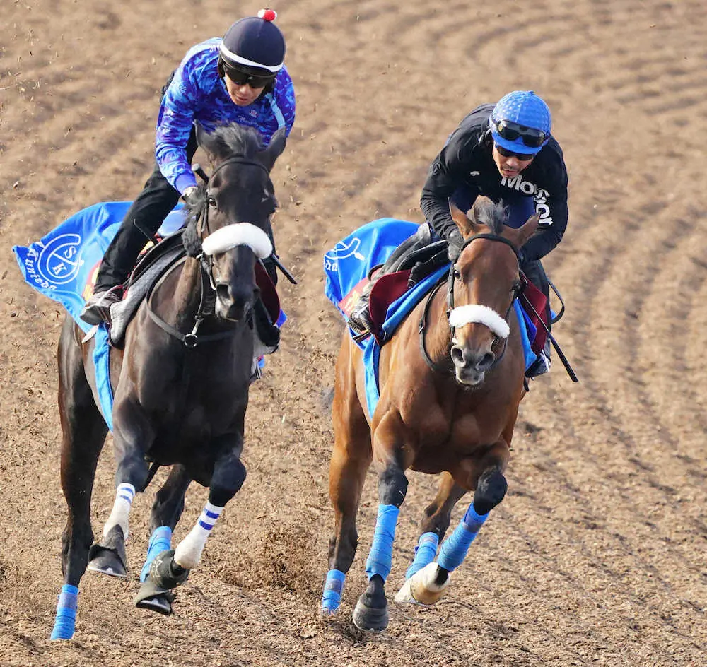 戸崎騎乗のマジックキャッスル（右）はエリカヴィータと併せて追い切る（撮影・西川祐介）