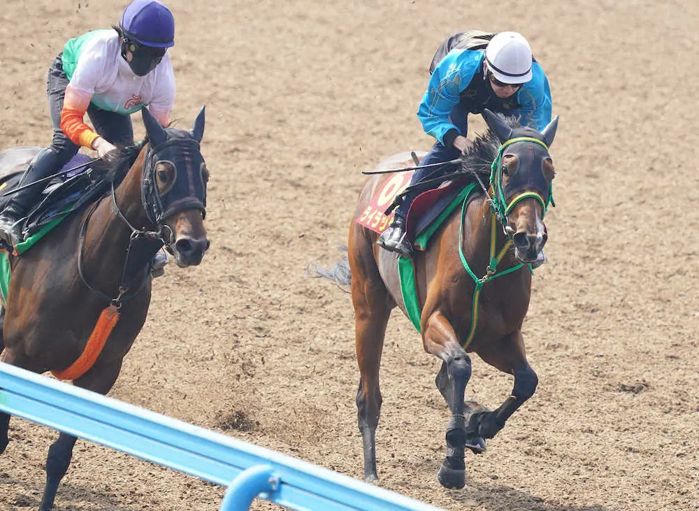 併せて追い切るライラック（右）（撮影・西川祐介）
