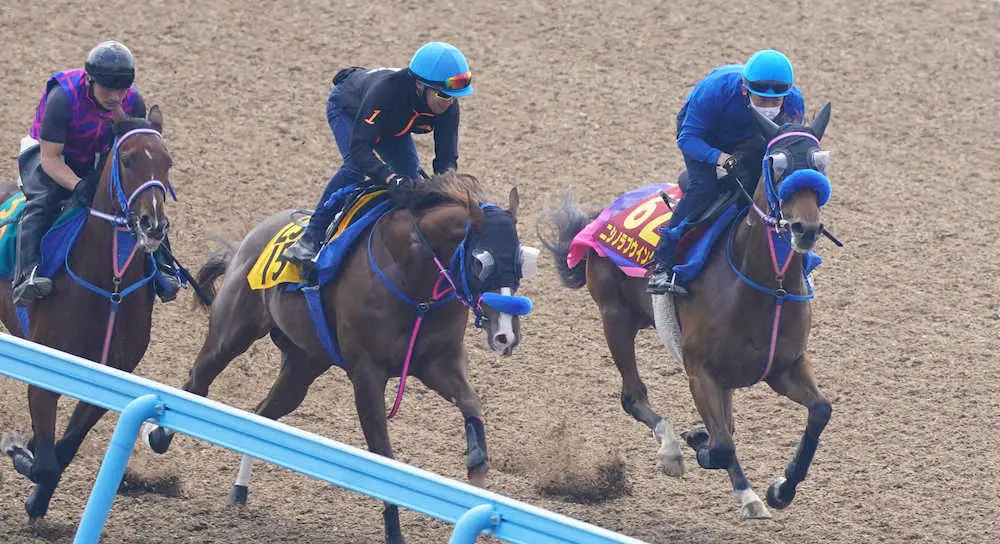 3頭併せでで追い切るニシノラブウインク（右端）（撮影・西川祐介）