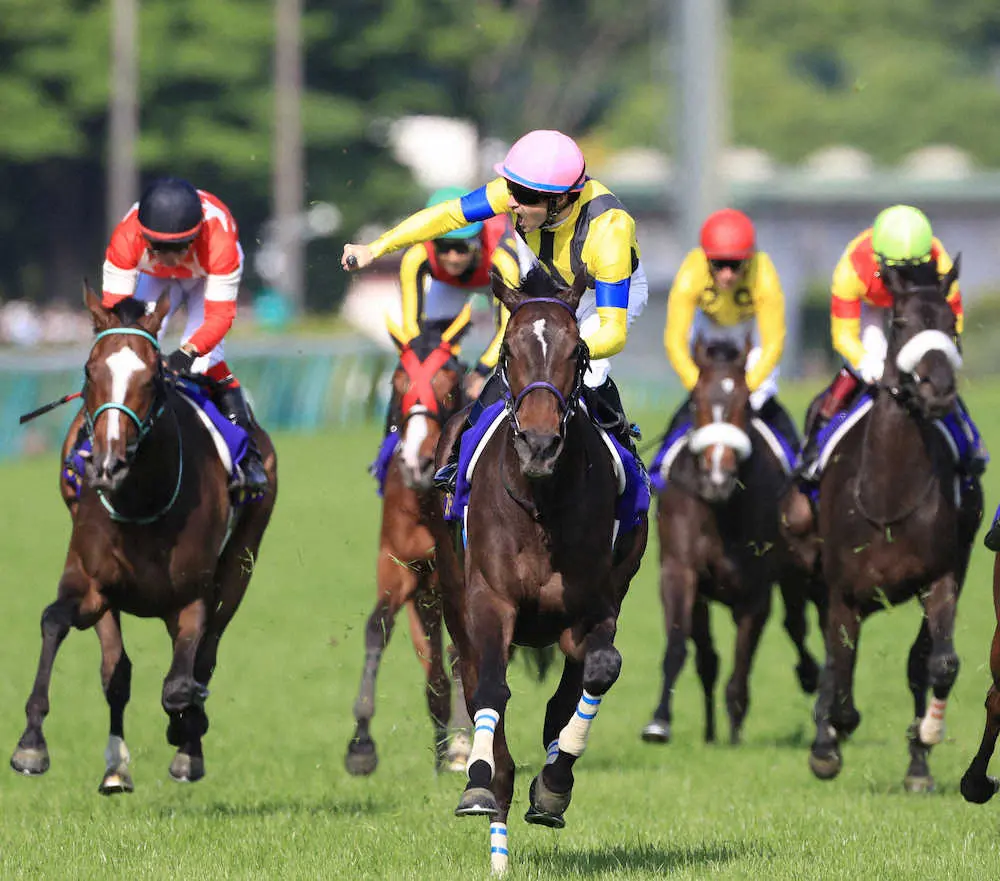1番人気で12着に終わったサークルオブライフ（右から2頭目）（撮影・西川祐介）