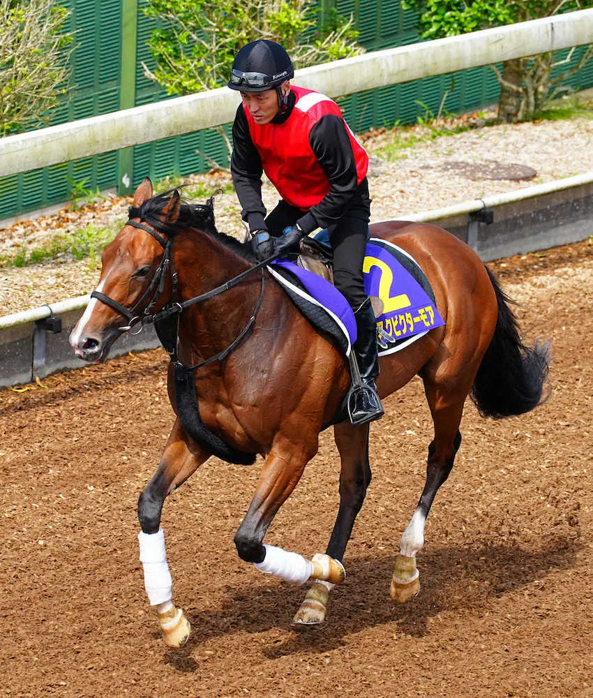 坂路を駈け上がるアスクビクターモア（撮影・郡司修）