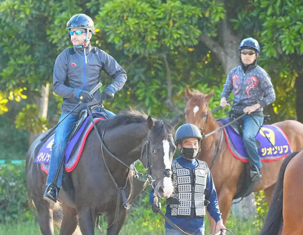 イクイノックス（左）とジオグリフ