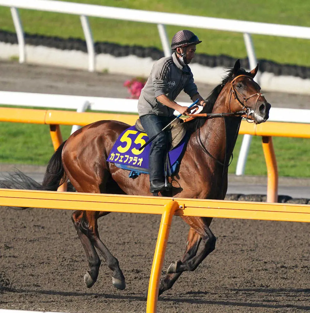 追い切り後、ダートコースを流すカフェファラオ（撮影・郡司修）