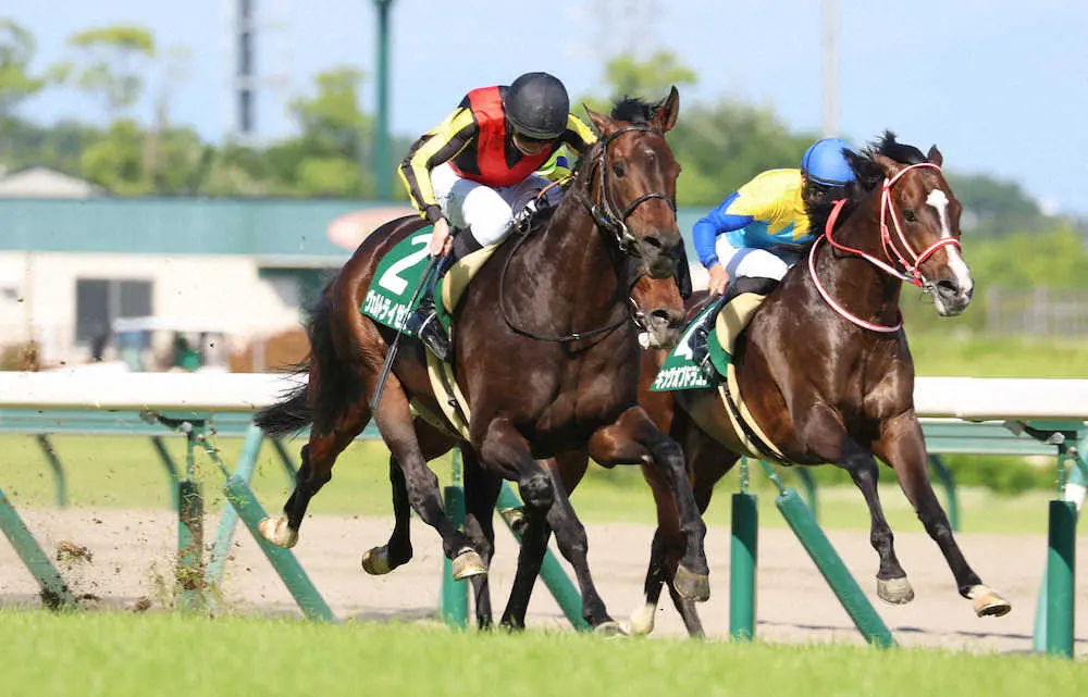 ＜鳴尾記念＞直線で抜け出して重賞初制覇したヴェルトライゼンデ（左）（撮影・亀井　直樹）