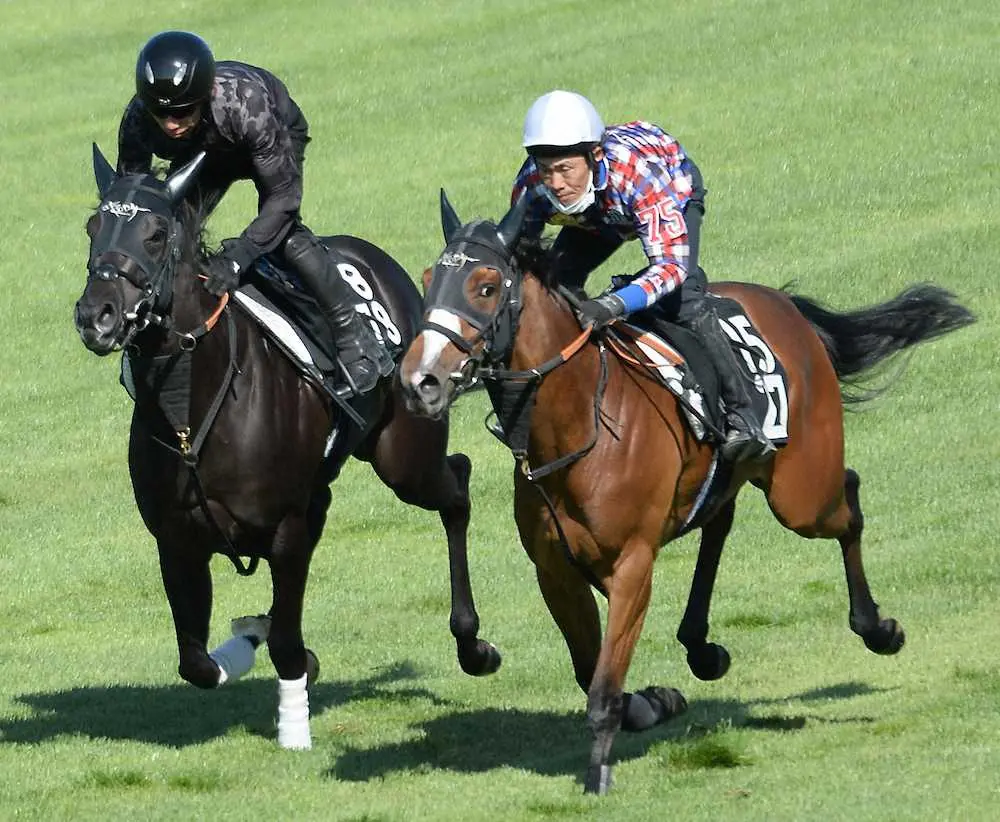 函館競馬場芝コースでメモリーレゾンと合わせて追い切ったナムラクレア（左）（撮影・千葉茂）