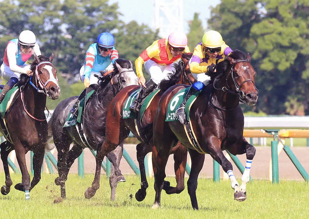 ＜東京11R・エプソムC＞競り勝った岩田康騎乗のノースブリッジ＝右手前（撮影・西川祐介）
