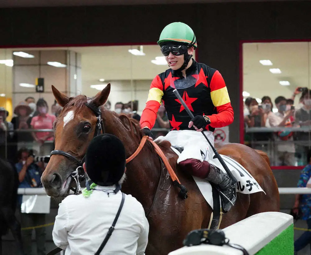 ＜東京競馬6R新馬戦＞レースを制したモルチャンと騎乗した三浦（撮影・郡司　修）