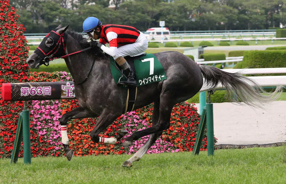 ＜阪神11R・マーメイドS＞2着に1馬身以上の差をつけ勝利のウインマイティー（撮影・奥　調）