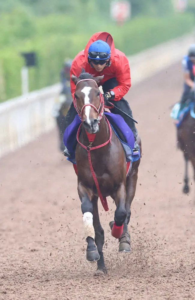 坂井を背に坂路にて併せ馬で追い切るステイフーリッシュ（撮影・亀井直樹）