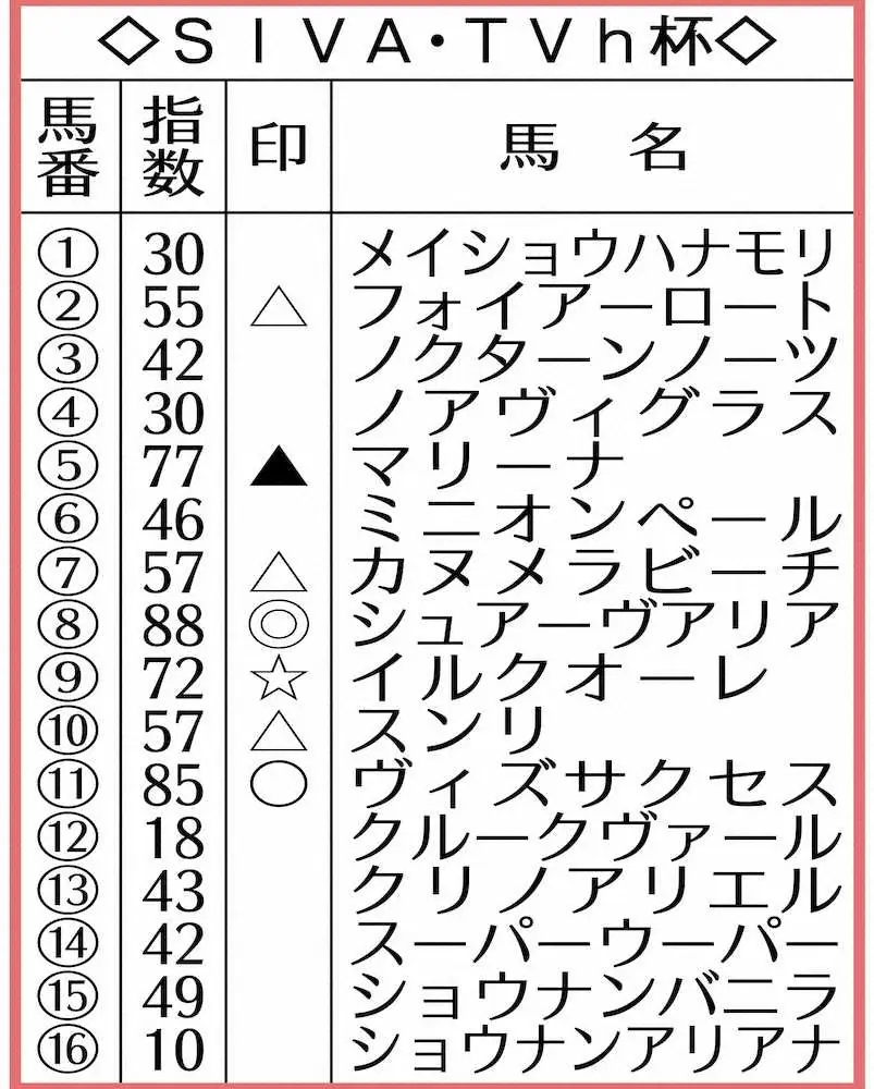 SIVA・TVh杯