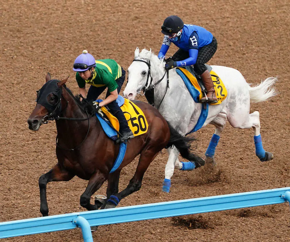 ハヤヤッコ（右）と併せて追い切るアンティシペイト（撮影・郡司修）