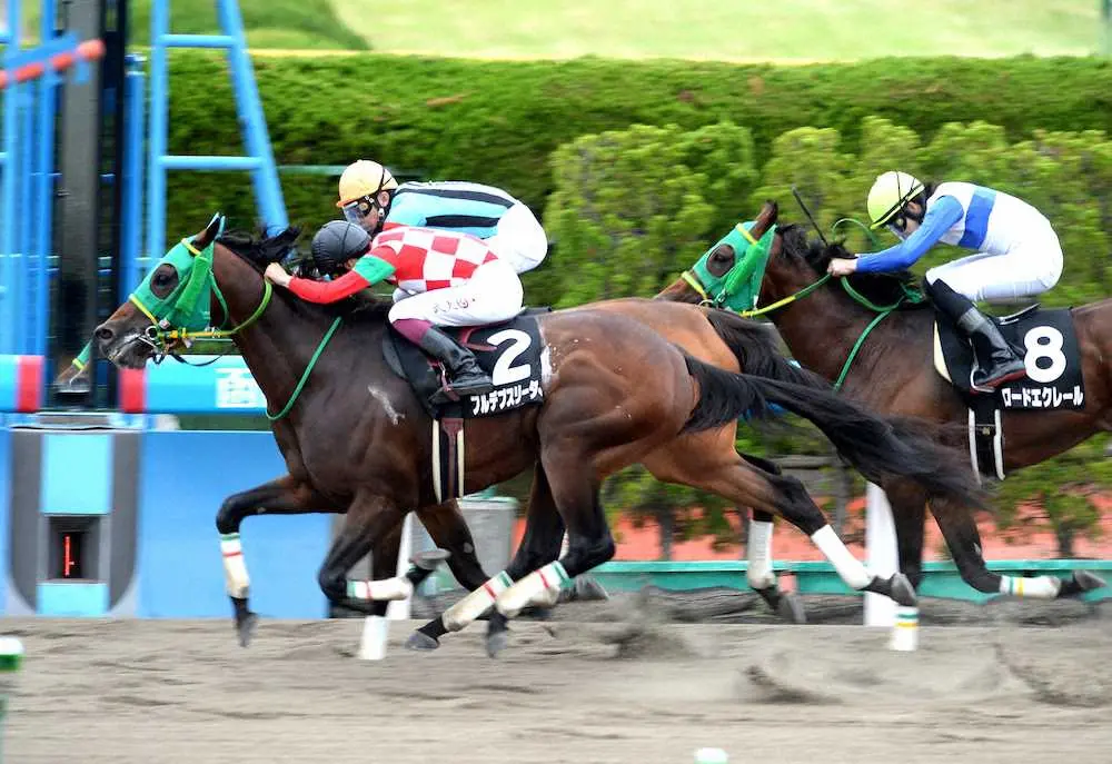 直線で差し切って勝ったフルデプスリーダー（撮影・千葉茂）
