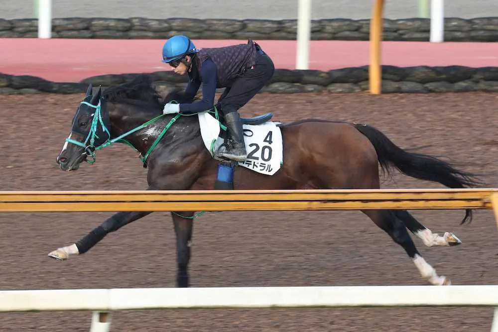 団野大成が騎乗し、CWコースで速いラップを刻んだカテドラル