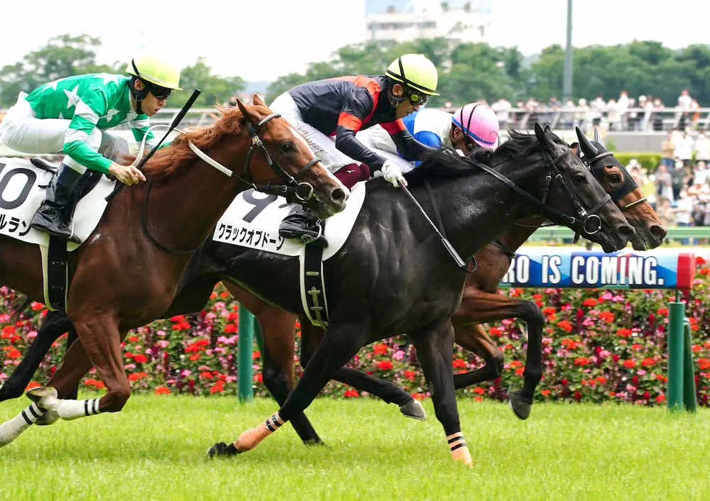 ＜東京6R新馬戦＞レースを制したクラックオブドーン（奥から2頭目）＝撮影・郡司　修