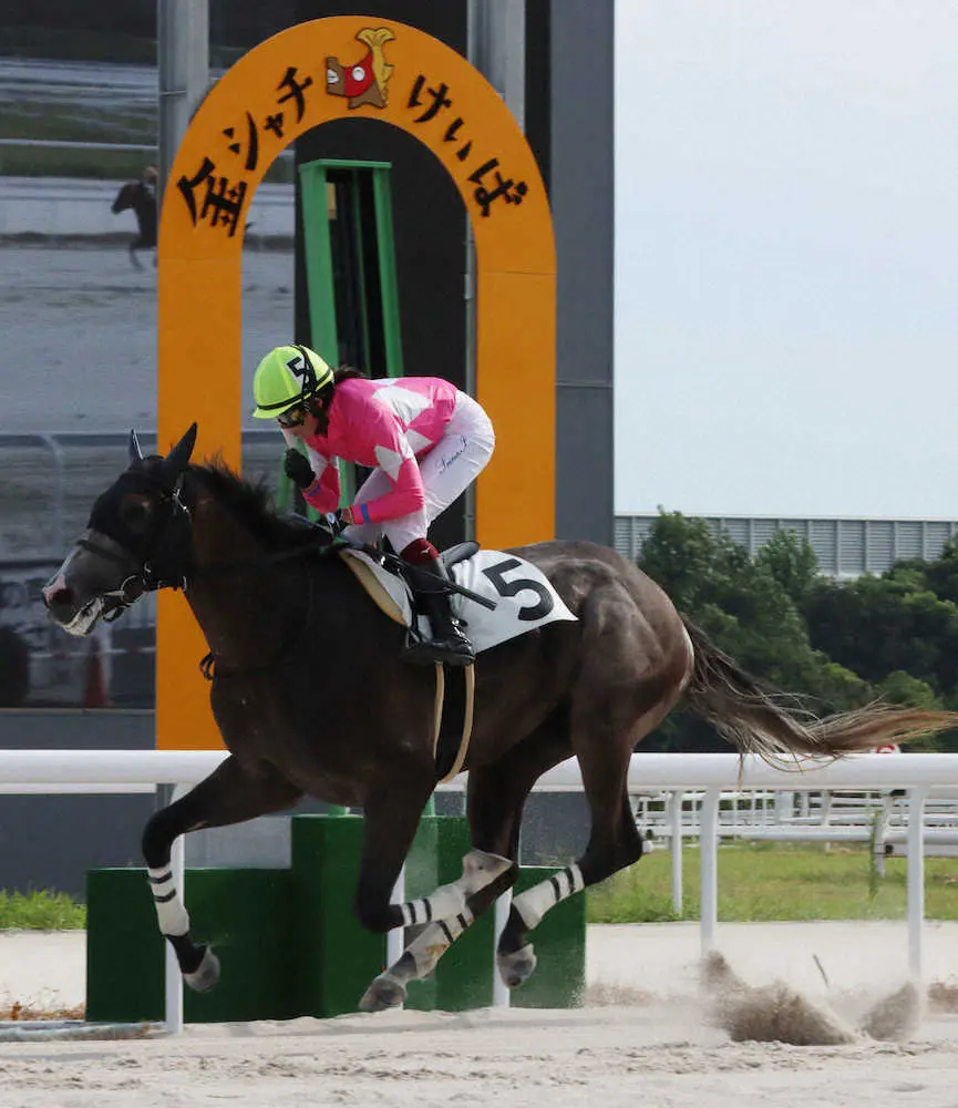 ＜名古屋10R・ラズベリー賞＞ワンダーウィルクで名古屋競馬初勝利を挙げた今村（愛知県競馬組合提供）　