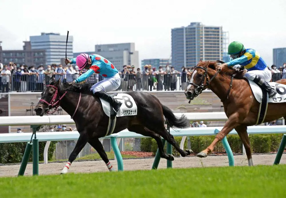 4コーナーから先頭に立ち逃げ切って勝った（8）メイクアスナッチ（撮影・千葉茂）