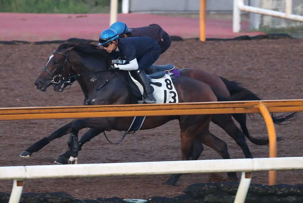 福永祐一騎手を背にCウッドをラウダシオン（奥）と併せ馬で追い切るジェラルディーナ