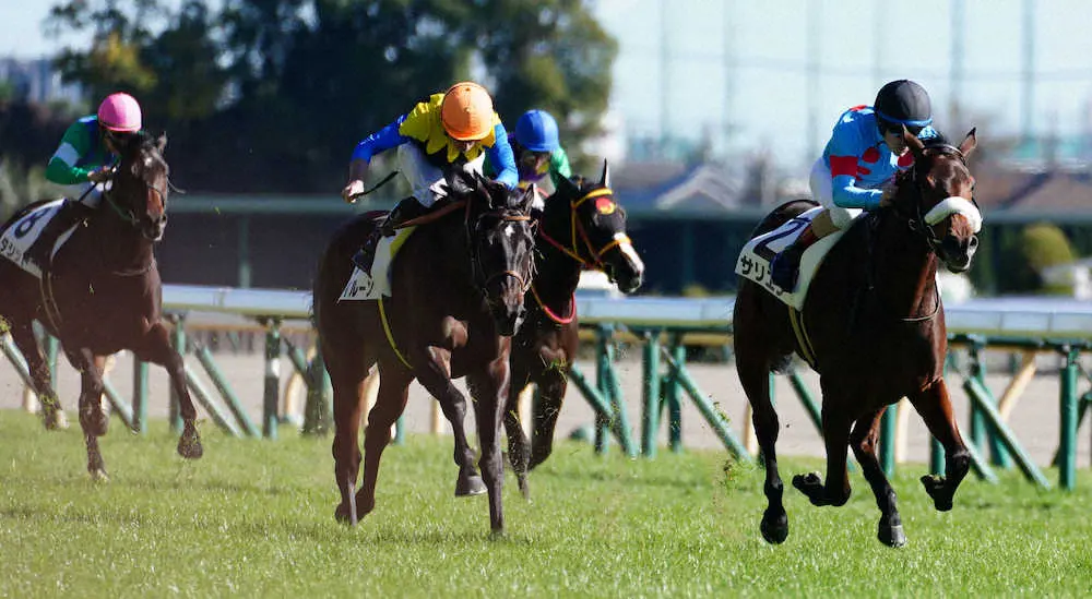 昨年11月の新馬戦を制したサリエラ（右端）