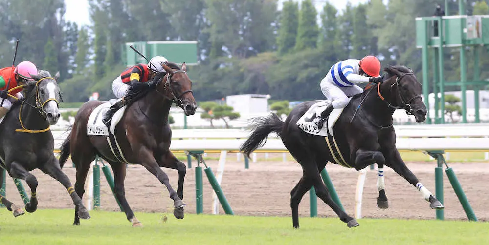 ＜新潟5R・新馬戦＞快勝した戸崎騎乗のヒシルリアン＝右（撮影・西川祐介）