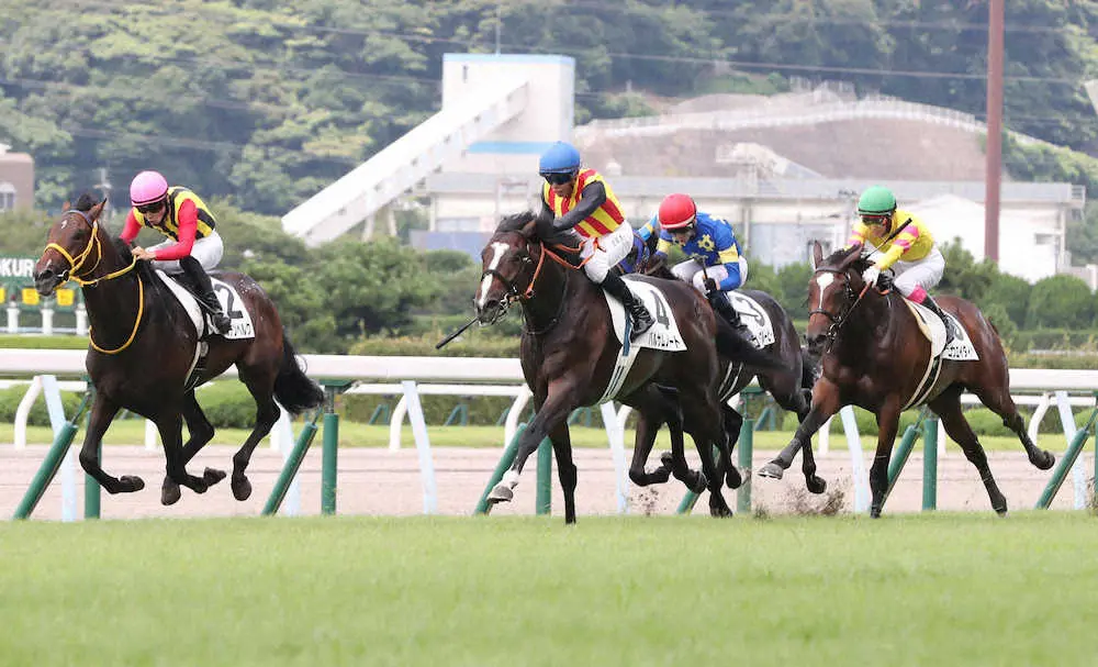 ＜小倉5R・新馬戦＞直線抜け出して勝ったバルサムノート＝中央（撮影・中村　達也）