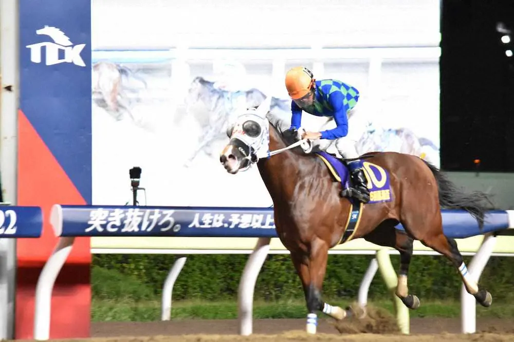 逃げ切りで黒潮盃を制したエスポワールガイ