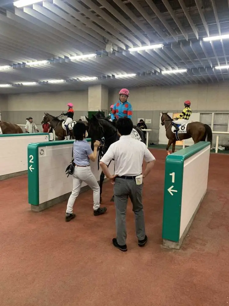 ＜新潟6R＞岩田康を背に勝利を収めたヴィアルーチェ