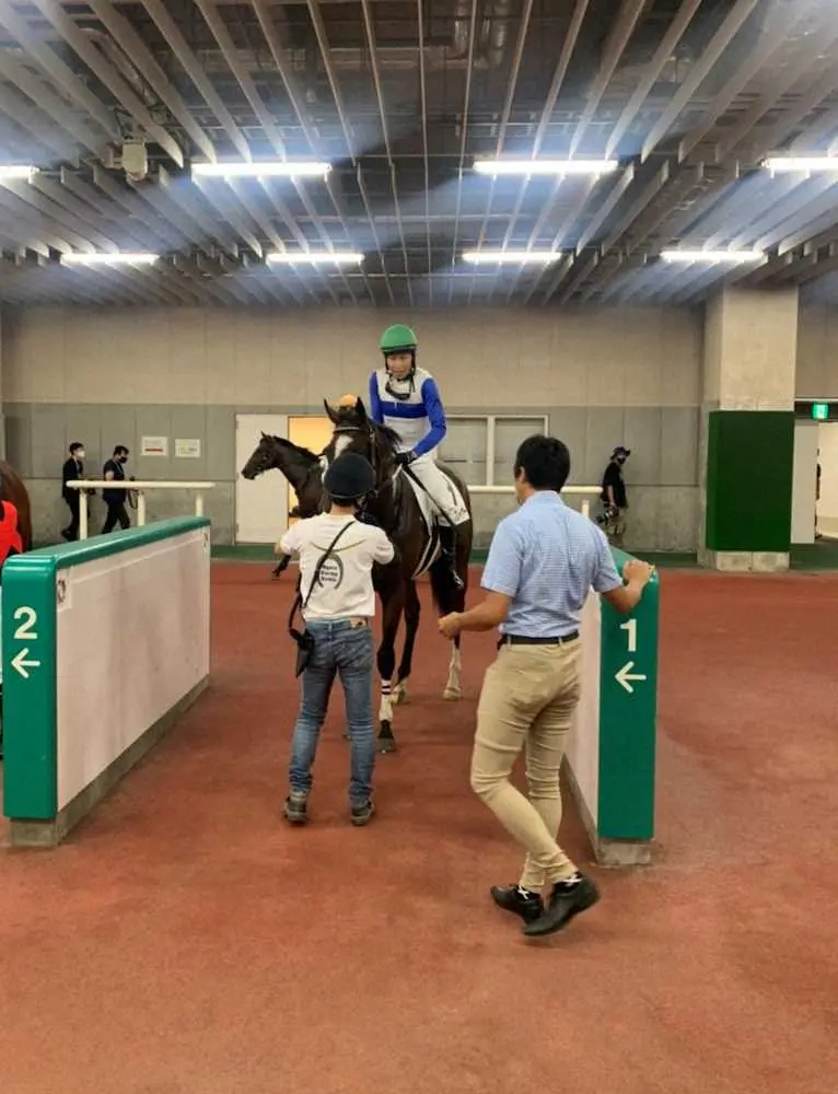 ＜新潟5R・新馬戦＞田辺を背にデビュー戦を制したロードプレイヤー