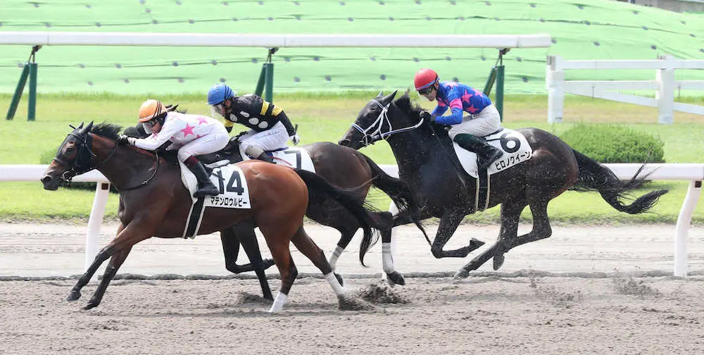 ＜小倉8R＞今村を背に追い比べを制したマテンロウルビー＝左（撮影・中村　達也）