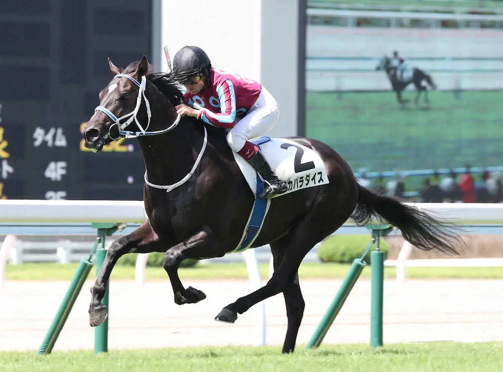 ＜小倉5R＞今村聖奈が騎乗したスカパラダイスが勝利（撮影・中村　達也）