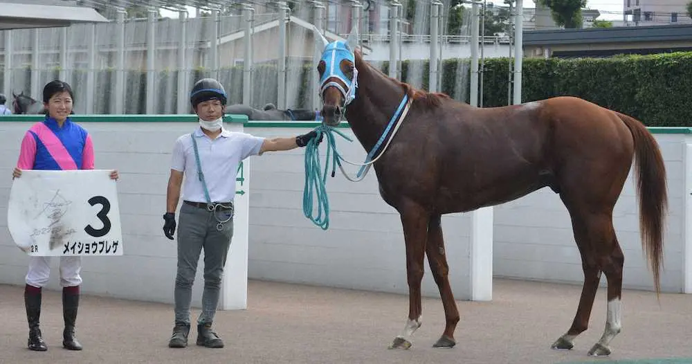 4度目のコンビで初勝利に導いた今村聖奈とメイショウブレゲ