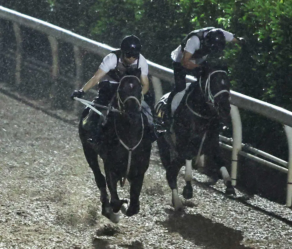 坂路をシェパードボーイ（右）と併せ馬で追い切るディープボンド