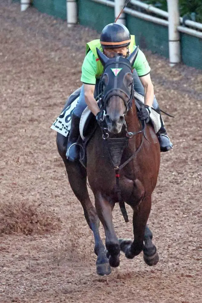 データから導かれたのは5歳牝馬のミスニューヨーク