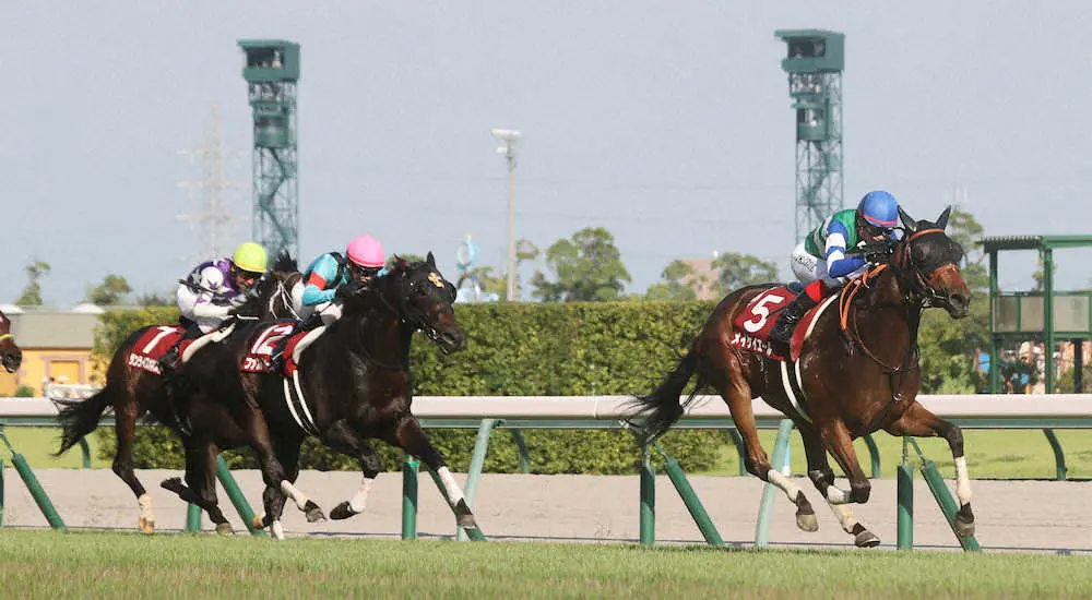 ＜中京11R・セントウルS＞直線で抜け出し、レコードで圧勝した池添謙一騎乗のメイケイエール（右）（撮影・椎名　航）