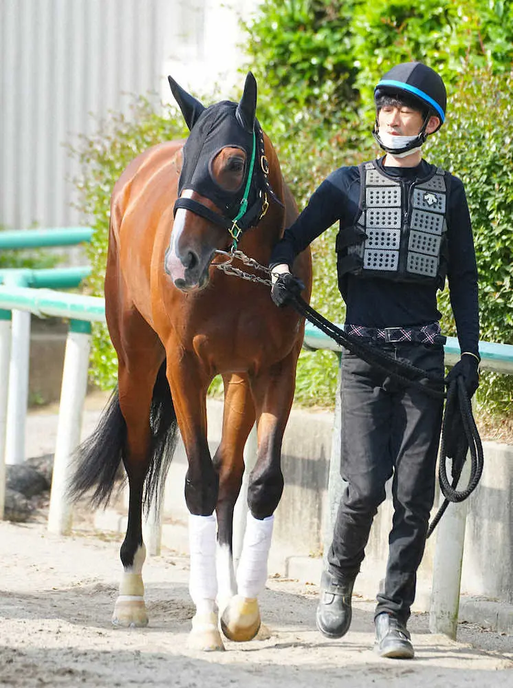 弥生賞覇者でダービー3着のアスクビクターモア
